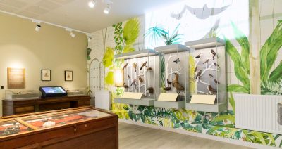 Evolution and Adaptation Animals and plants exhibition