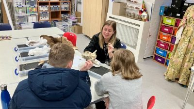 Home Educator Careers Taster - Session Two Examining an animal skull.